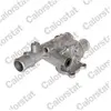 Thermostat d'eau CALORSTAT BY VERNET TH6504.88J