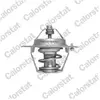 Calorstat by vernet Thermostat d'eau TH6510.88J