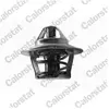 Calorstat TH1410.87J Thermostat d'eau