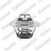 Calorstat TH1290.88J Thermostat d'eau
