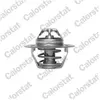 Thermostat d'eau CALORSTAT BY VERNET TH1378.88J