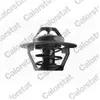 VERNET S.A.S. Thermostat d'eau pour MAZDA: 121 & FORD: Ka, Fiesta & RENAULT: Jeep (Ref: TH6244.92J)