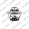 VERNET S.A.S. Thermostat d'eau pour RENAULT: Clio (Ref: TH6047.75J)