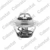 Calorstat VERNET S.A.S. Thermostat d'eau pour OPEL: Movano & RENAULT: Master (Ref: TH6045.83J)
