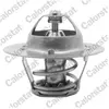 Calorstat by vernet Thermostat d'eau TH5971.82J