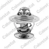 Thermostat d'eau CALORSTAT TH1439.80J - Réf. TH1439.80J