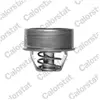 CARTER-CASH Thermostat d'eau CALORSTAT TH1414.75 - Réf. TH1414.75