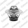 Thermostat d'eau CALORSTAT TH3309.79J - Réf. TH3309.79J