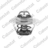 Calorstat Thermostat d'eau COLORSTAT BY VERNET TH5108.83J