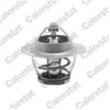 Calorstat Thermostat d'eau COLORSTAT BY VERNET TH5075.82J