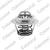 Calorstat by vernet Thermostat d'eau TH4898.92J