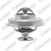 Calorstat by vernet Thermostat d'eau TH4947.81J