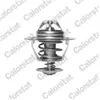 Thermostat d'eau CALORSTAT TH6319.85J - Réf. TH6319.85J