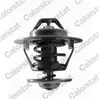 Calorstat TH6434.82J Thermostat d'eau