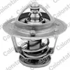 Calorstat Thermostat d'eau COLORSTAT BY VERNET TH6314.82