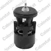 Calorstat TH6274.87J Thermostat d'eau