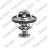 Thermostat d'eau CALORSTAT TH6295.82J - Réf. TH6295.82J