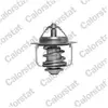 Thermostat d'eau CALORSTAT BY VERNET TH6858.89J