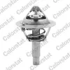 Thermostat d'eau CALORSTAT BY VERNET TH6962.90J