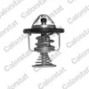 Thermostat d'eau COLORSTAT BY VERNET TH6876.80J