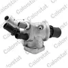 Calorstat VERNET S.A.S. Thermostat d'eau pour LANCIA: Musa & FIAT: Idea (Ref: TH6877.88J)