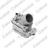 Calorstat Thermostat d'eau COLORSTAT BY VERNET TH6866.90J