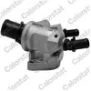 Thermostat d'eau CALORSTAT BY VERNET TH6882.88J