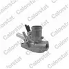 COLORSTAT Thermostat d'eau CALORSTAT BY VERNET TH7139.80J