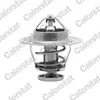 Calorstat Thermostat d'eau COLORSTAT BY VERNET TH6252.89J