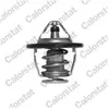 Calorstat Thermostat d'eau COLORSTAT BY VERNET TH6520.82J