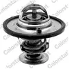Thermostat d'eau CALORSTAT BY VERNET TH7341.82J