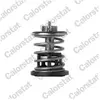 Calorstat by vernet Thermostat, liquide de refroidissement TH7382.88