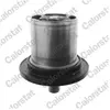 Calorstat by vernet Thermostat, liqiuide de refroidissement THS1743.82