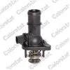 Thermostat d'eau CALORSTAT BY VERNET TE6976.105J