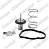 Thermostat d'eau CALORSTAT THK7276.83J - Réf. THK7276.83J