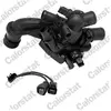 Calorstat by vernet Thermostat, liqiuide de refroidissement TEK7145.105J