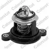 VERNET S.A.S. Thermostat d'eau pour FORD: Fiesta (Ref: TH7335.50J)