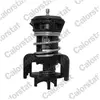Calorstat by vernet Thermostat d'eau TH7275.92J