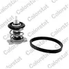 Calorstat par Vernet TH9200.88J thermostat, liquide de refroidissement