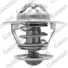 VERNET S.A.S. Thermostat d'eau (Ref: TH7459.81)