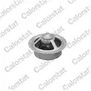 VERNET S.A.S. Thermostat d'eau (Ref: TBS1019.82)