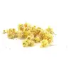 Graine Créative Fleurs séchées Immortelle - Deco Bougie Savon - GR