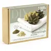 Graine Créative Faire Ses shampoings Solides - Coffret DIY
