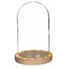 GRAINE CREATIVE ON A TOUS DU TALENT Cloche en verre lumineuse 21,5 cm x Ø 14 cm