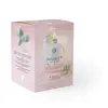 GRAINE CREATIVE Kit Bougie Diy Lithotherapie Assortiment