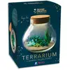 Kit Fimo Terrarium