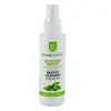 Divinextases Nettoyant Bio pour Sextoys Menthe Poivrée 100 ml