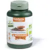 Nat & Form Bio Curcuma Pipérine 200 gélules végétales