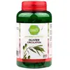 Pharmascience olivier circulation 200 gélules