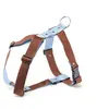 Harnais pour chien Martin Sellier L Bleu 40 mm 3007153